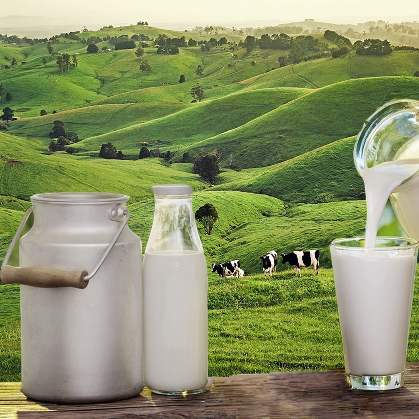 Jersey Milk - Wide Range Of Tasty & Healthy Milk