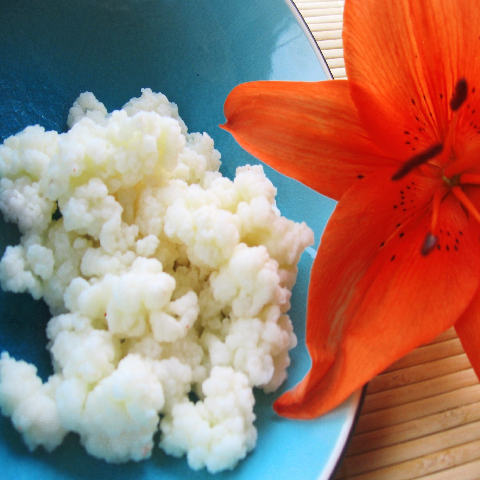 How to Activate Kefir Grains and How to Make Thick Kefir »